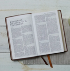 NSRV Catholic Bible - Leathersoft Teal