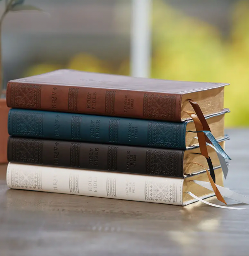 NSRV Catholic Bible - Leathersoft Brown