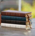 NSRV Catholic Bible - Leathersoft Brown