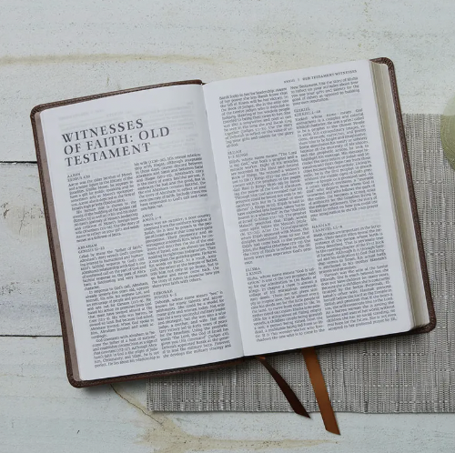 NSRV Catholic Bible - Leathersoft Brown